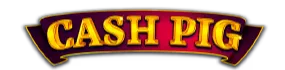 Cash Pig