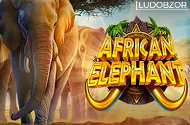 African Elephant