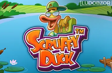Scruffy Duck