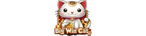Big Win Cat
