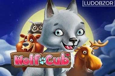 Wolf Cub