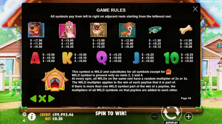 Полная таблица выплат слота The Dog House