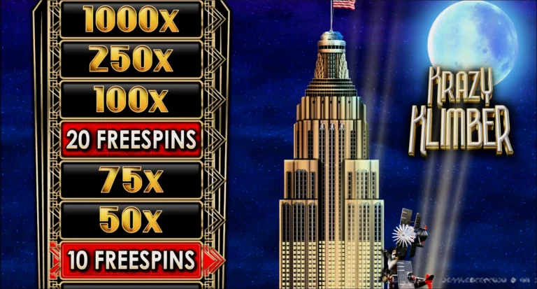 Единственная бонусная функция игры