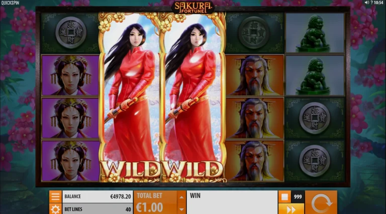 Два символа Wild Scatter запускают раунд с респинами