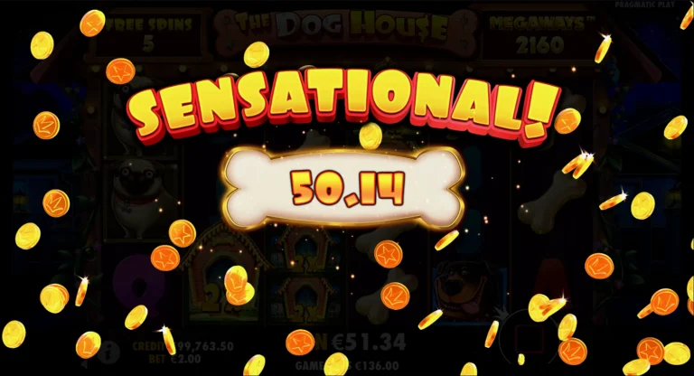 Крупный выигрыш в слоте The Dog House Megaways