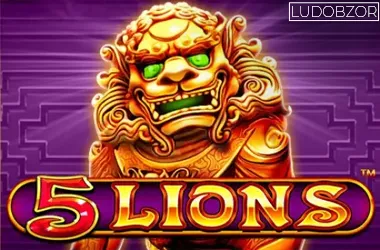 5 Lions