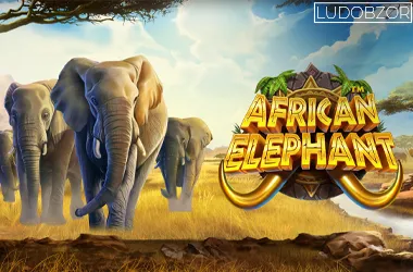 African Elephant