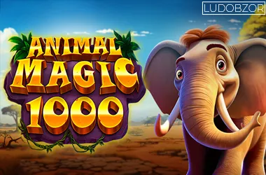 Animal Magic 1000