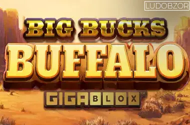 Big Bucks Buffalo
