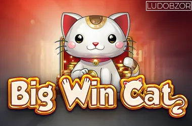 Big Win Cat