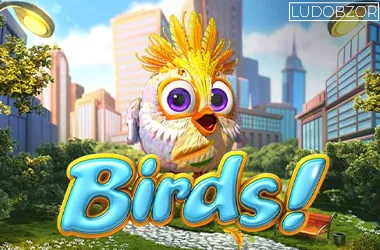 Birds