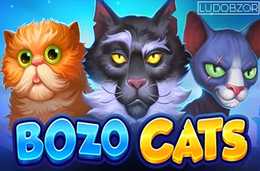 Bozo cats