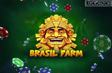 Brazil Farm