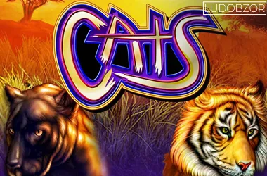 Cats