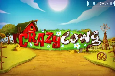Crazy Cows