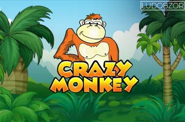 Crazy Monkey