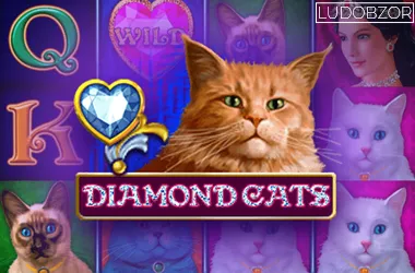 Diamond Cats