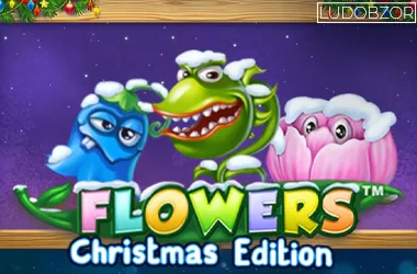 Flowers Christmas Edition