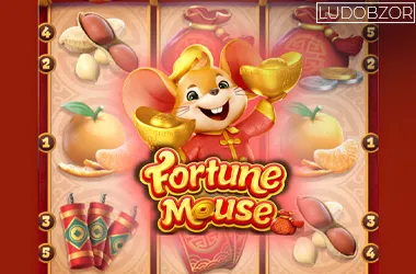 Fortune Mouse