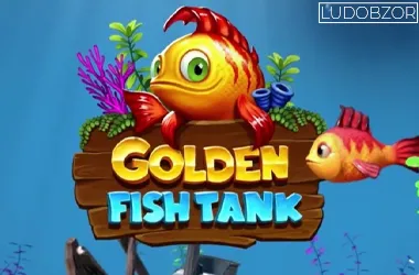 Golden Fish Tank