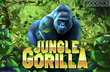 Jungle Gorilla