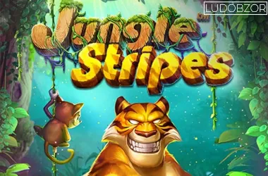 Jungle Stripes