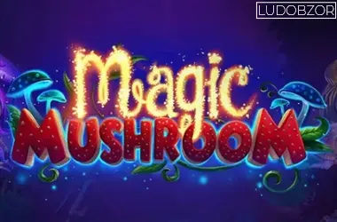 Magic Mushrooms