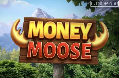 Money Moose