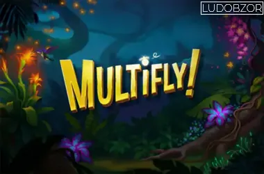 Multifly