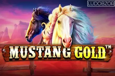 Mustang Gold