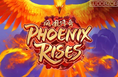 Phoenix Rises