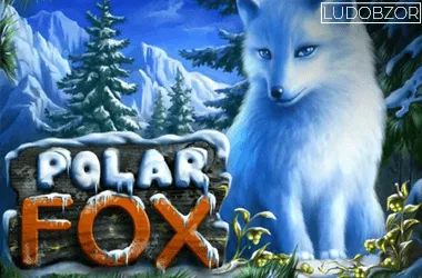 Polar Fox