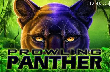 Prowling Panther