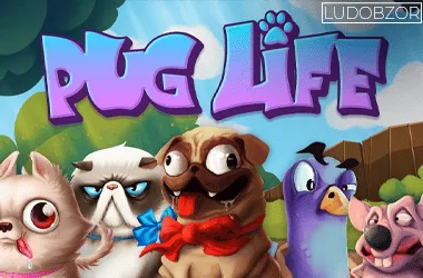 Pug Life