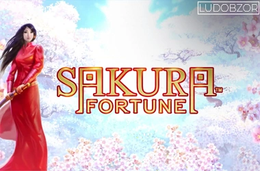 Sakura Fortune