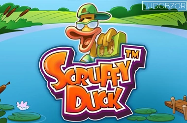 Scruffy Duck