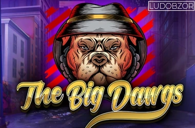 The Big Dawgs