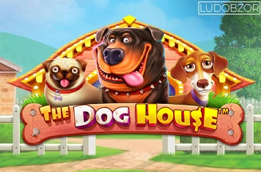 The Dog House