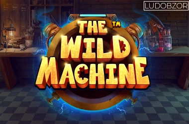 The Wild Machine