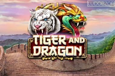 Tiger and Dragon