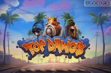 Top Dawgs