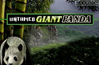 Untamed Giant Panda
