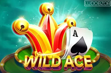 Wild Ace