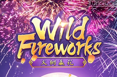 Wild Fireworks