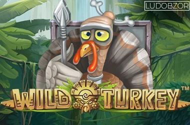 Wild Turkey