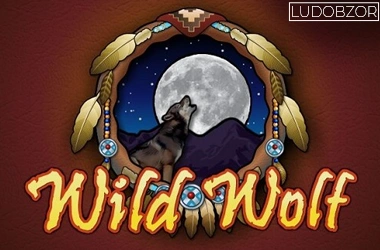 Wild Wolf
