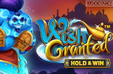 Wish Granted