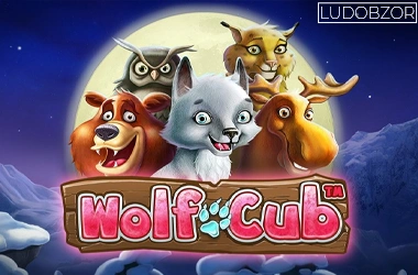 Wolf Cub