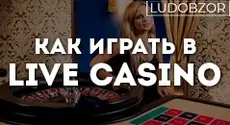 Как играть в Live casino