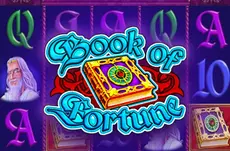 Book Of Fortune